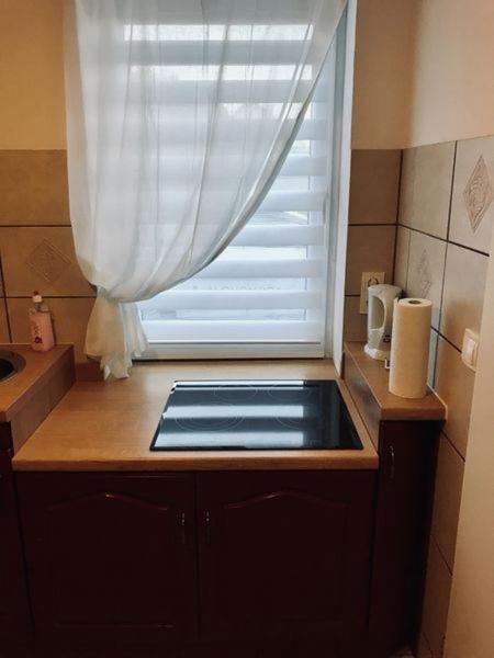 Apartment Willi I