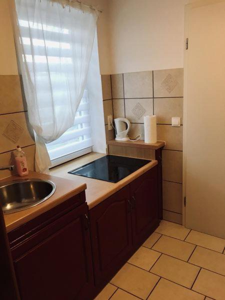 Willi I Apartment Spremberg